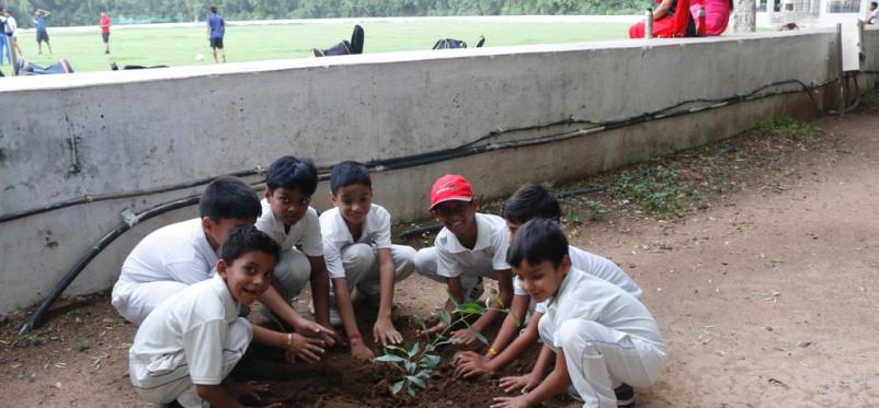 Swachhta Pakhwada